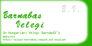 barnabas velegi business card